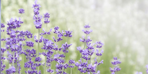 葬儀の流れとスタイル